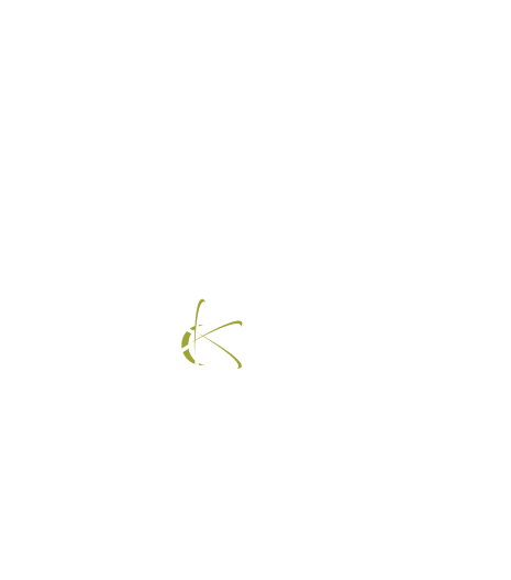 Space-Time Adventure Tours