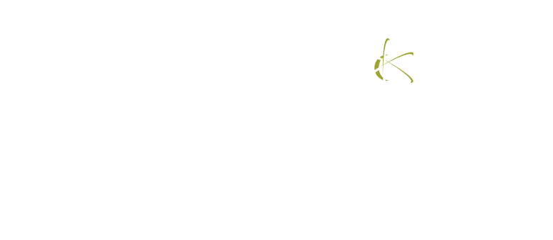 Wide logo, white